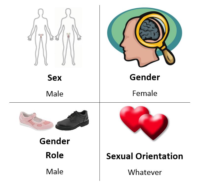 Pre-op MtF transsexual